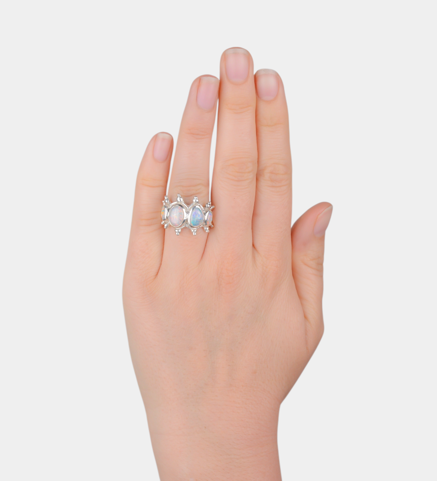 Arctic Ring