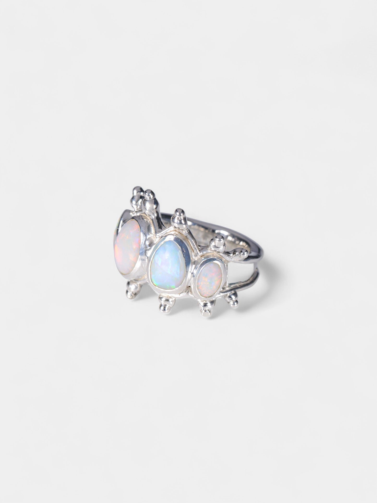 Arctic Ring