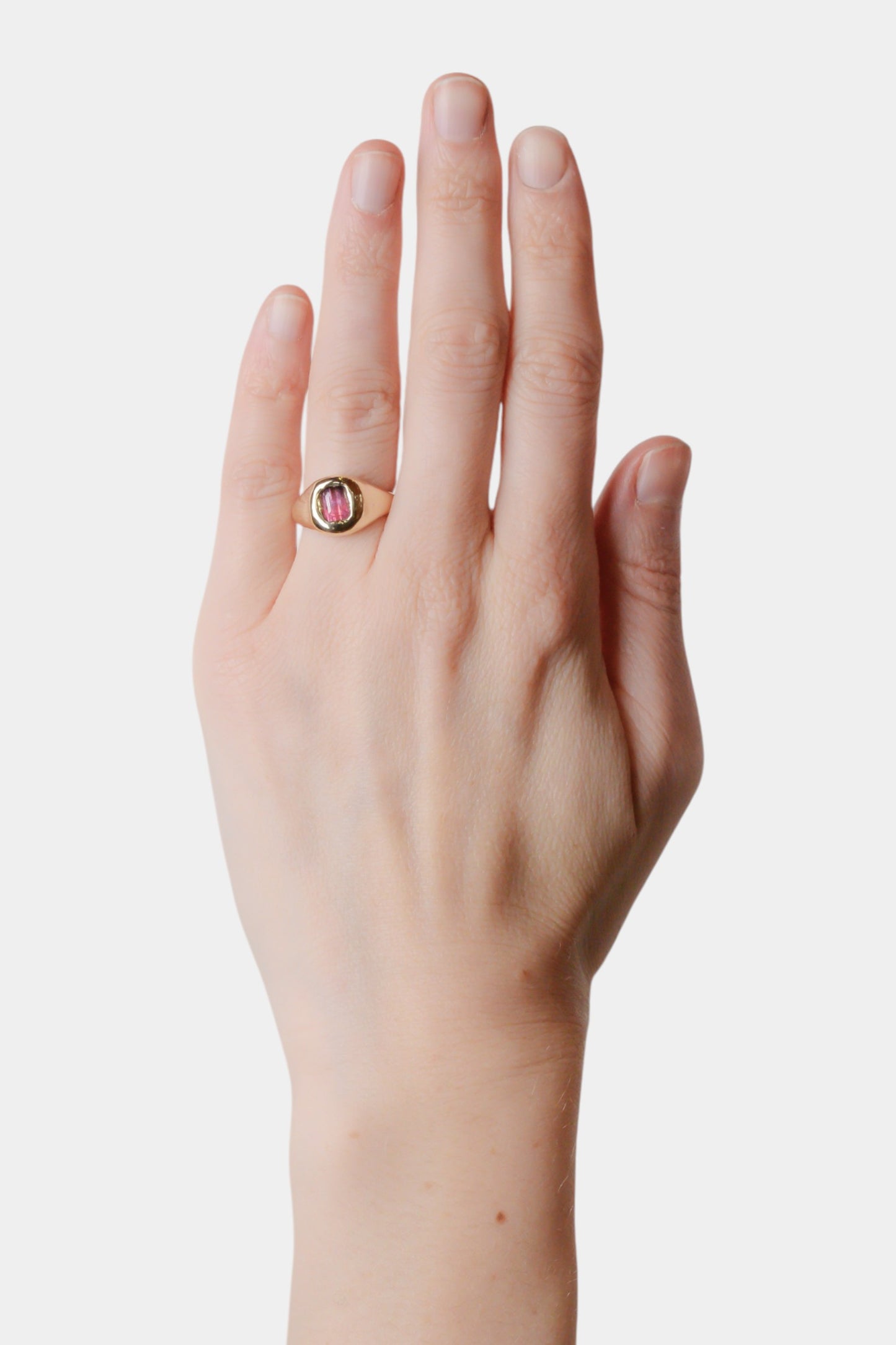 Berry Slip Ring