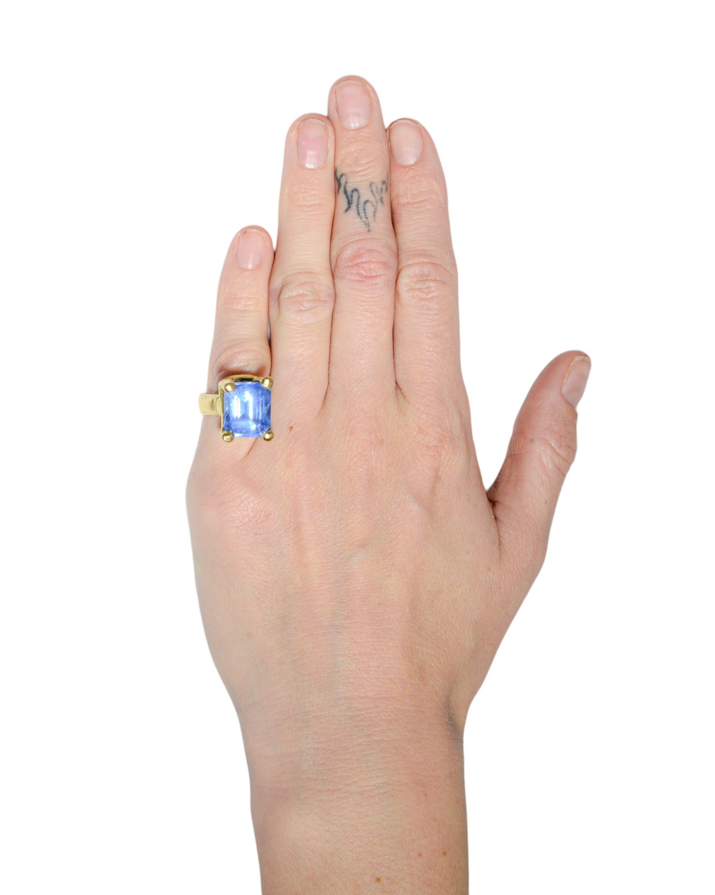 Fraude Ring