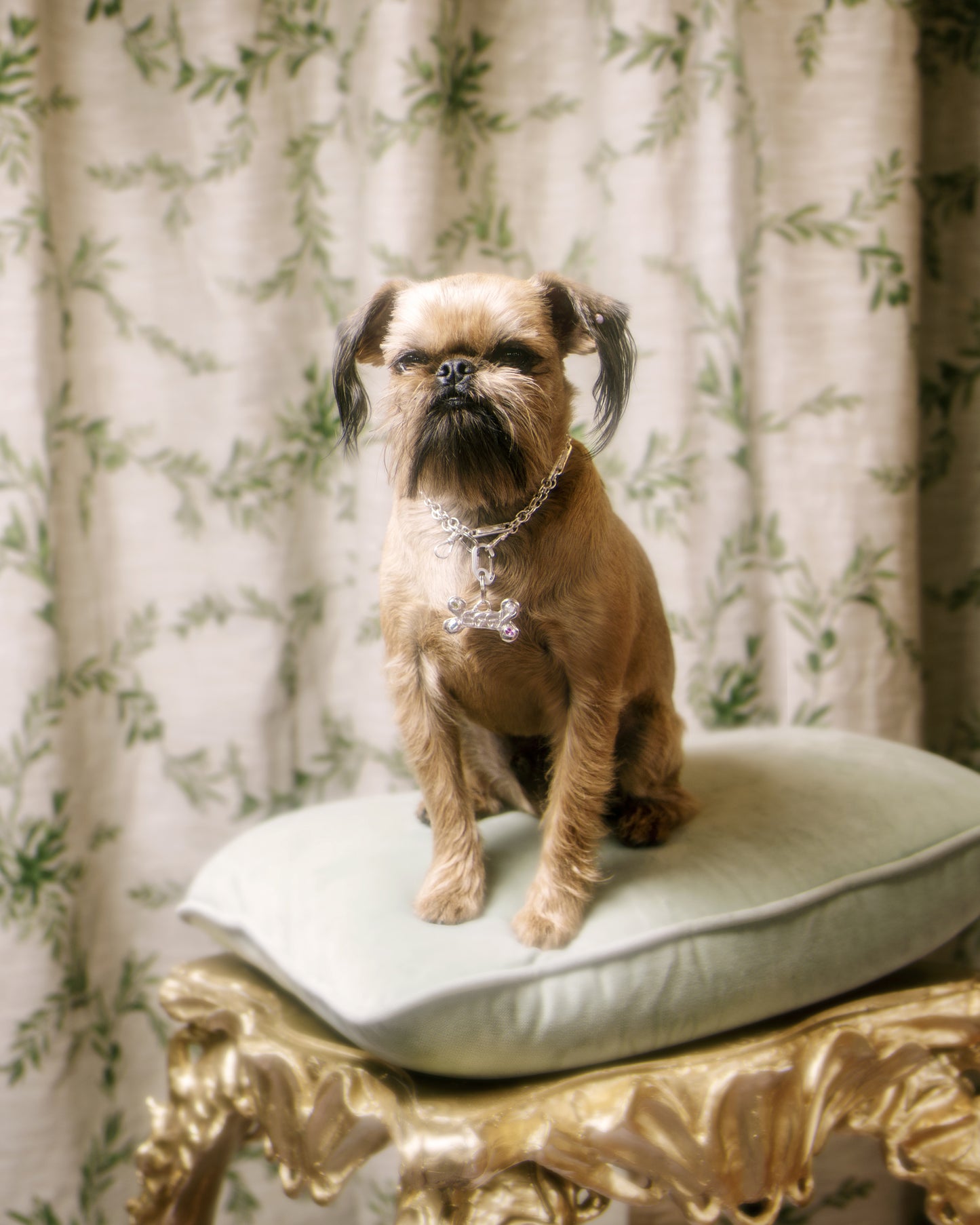 Bedazzled Bone Pet Tag