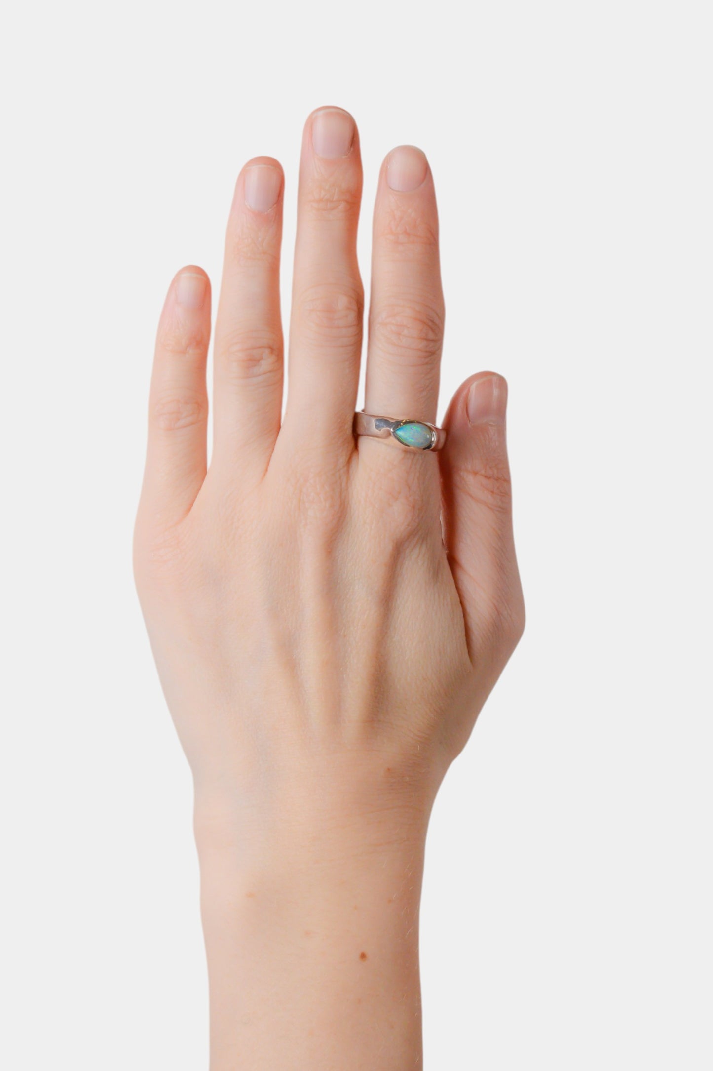 Polar Drop Ring