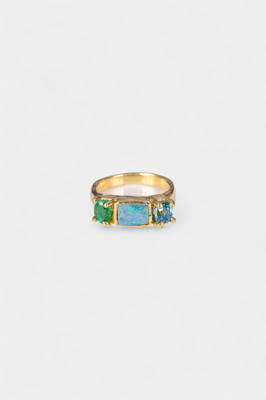 Swimming Pool Ring
