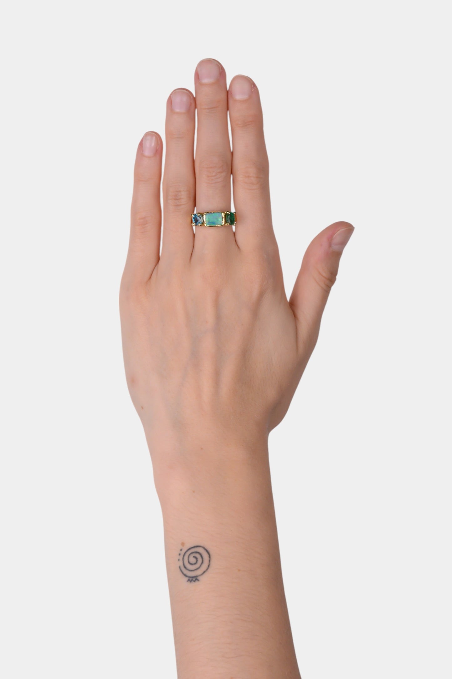 Swimming Pool Ring