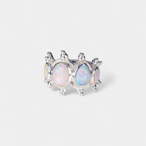 Arctic Ring