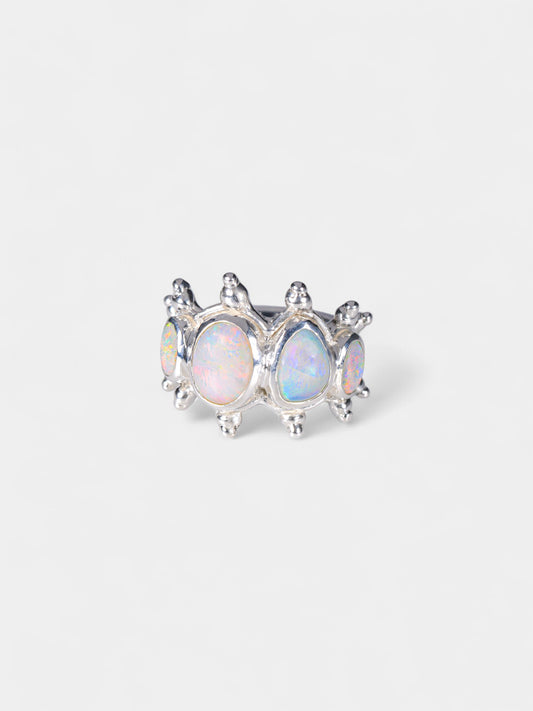 Arctic Ring