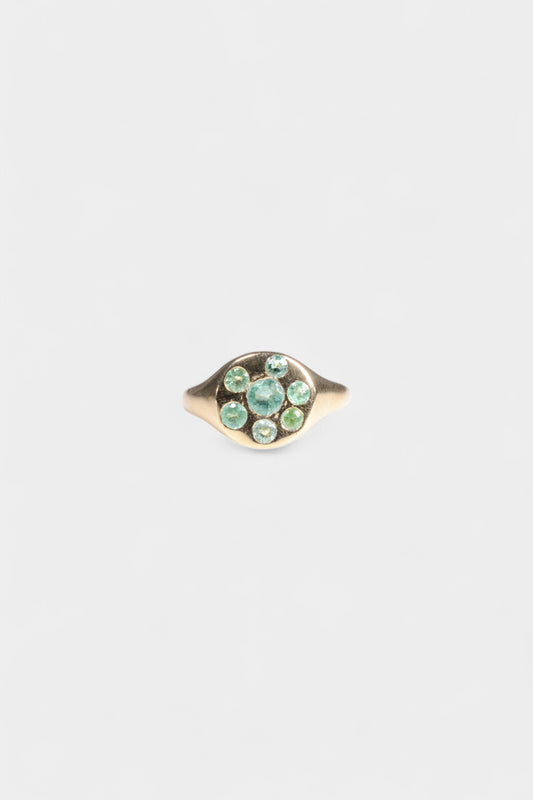 Chardy Signet Ring