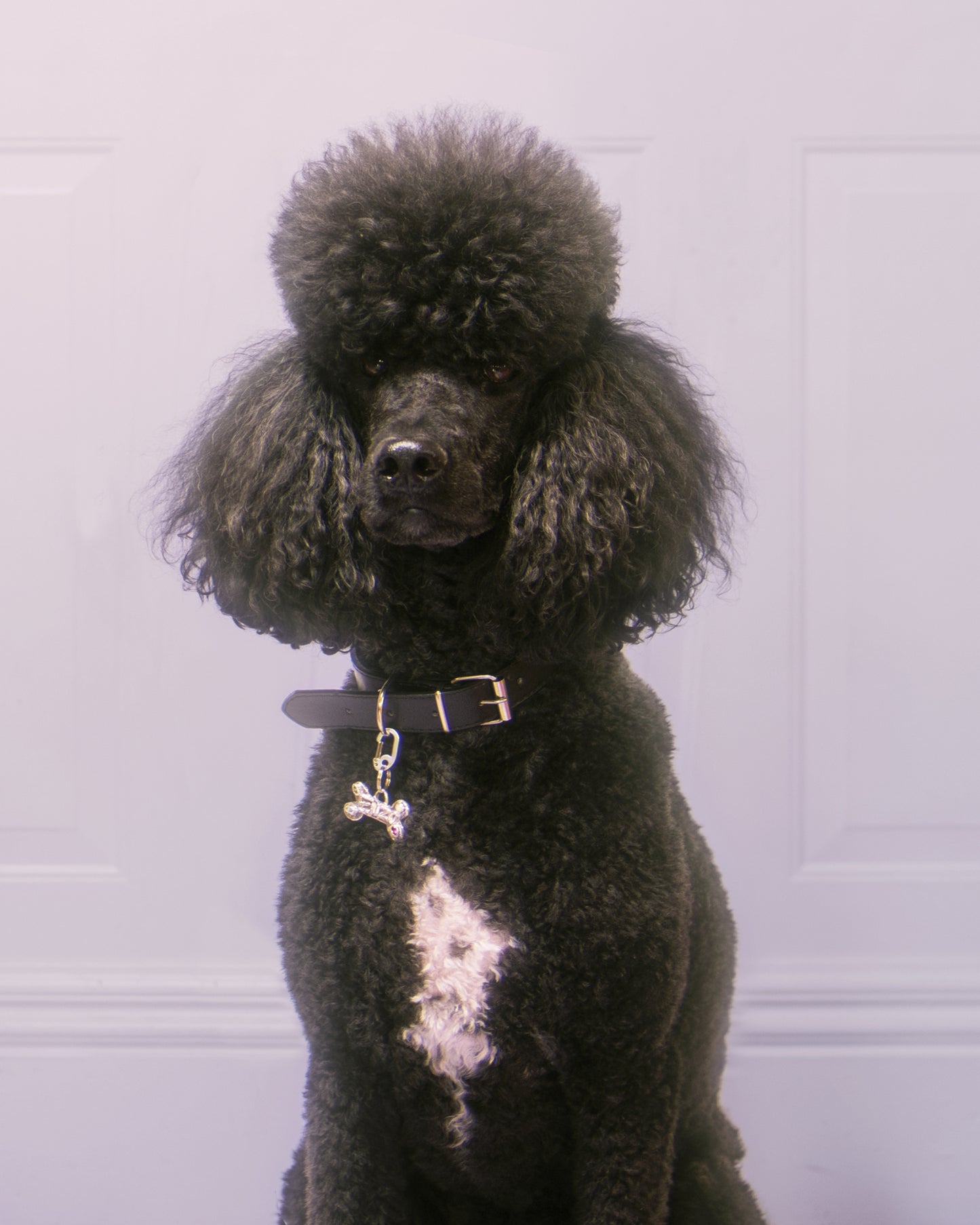 Bedazzled Bone Pet Tag