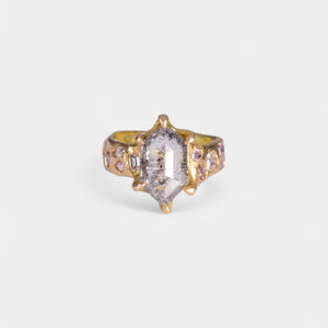Ice Queen Ring
solid 18 karat yellow gold
~ 2.97 carat hexagon cut salt & pepper diamond
~ twelve mixed cut melee white and grey diamonds for a carat weight of 1.1