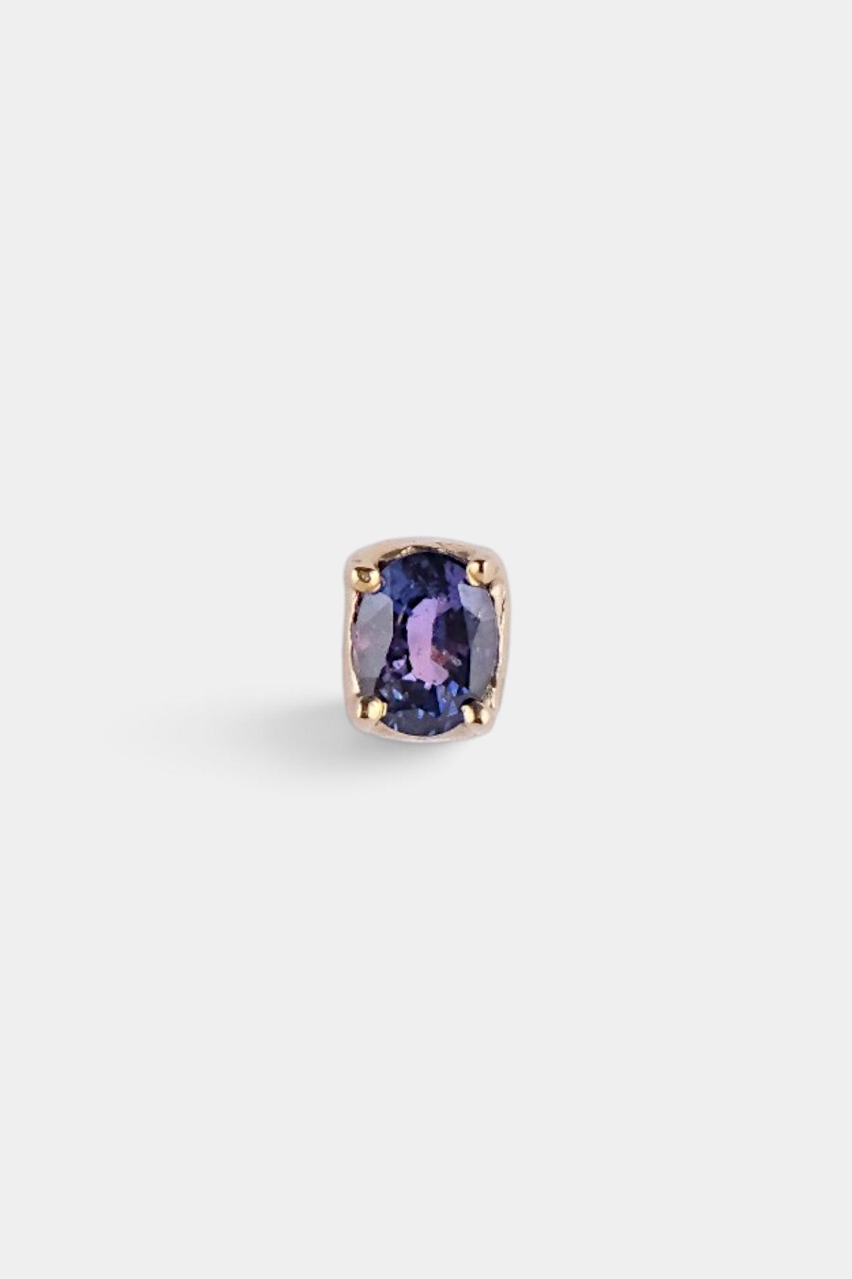 Took The Reins Sapphire Stud