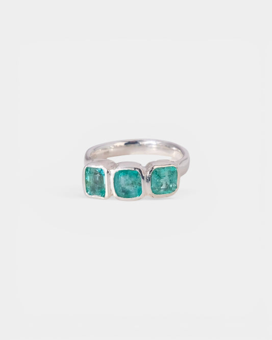 Fair Exchange Ring