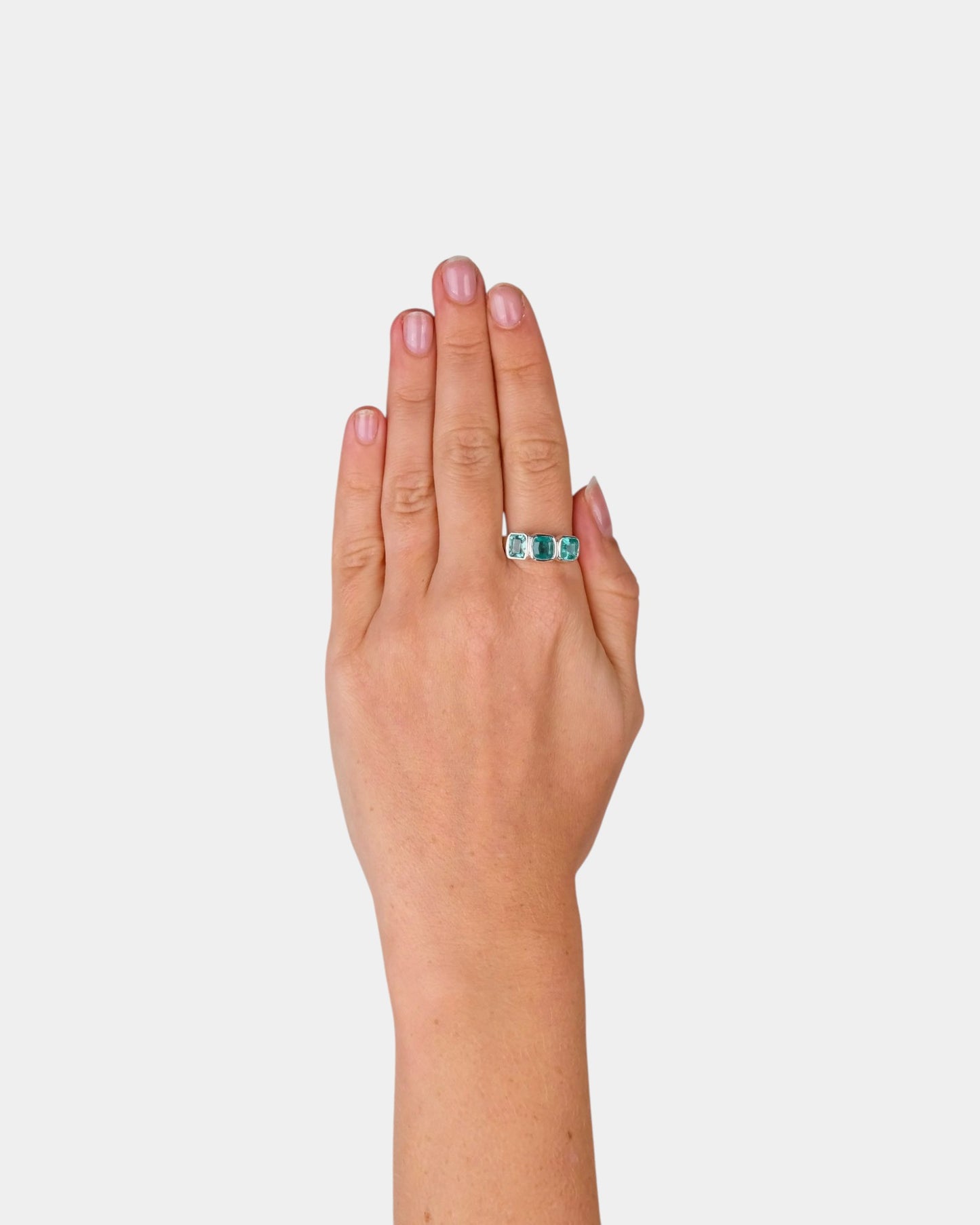 Fair Exchange Ring