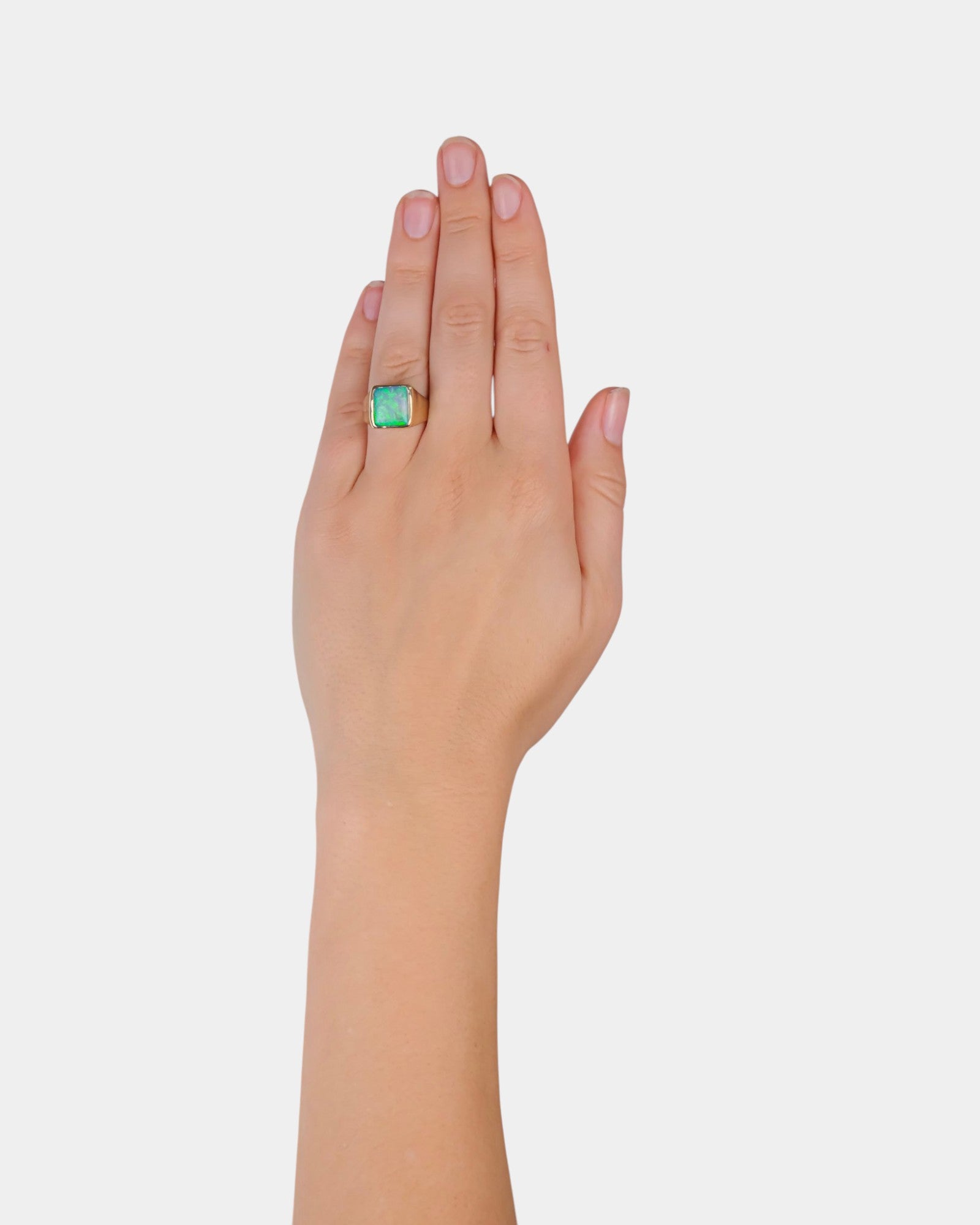 Flashback Signet Ring