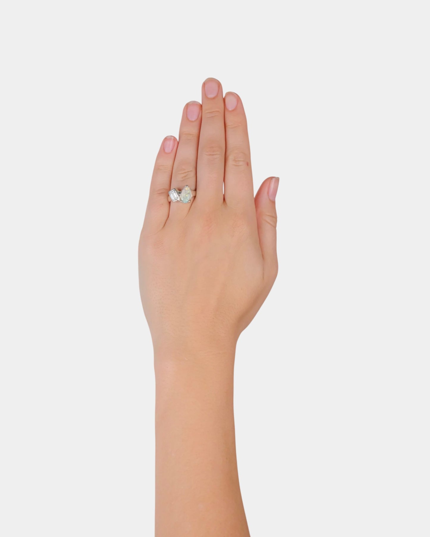 Fraternal Ring