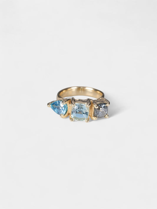 Principals Ring