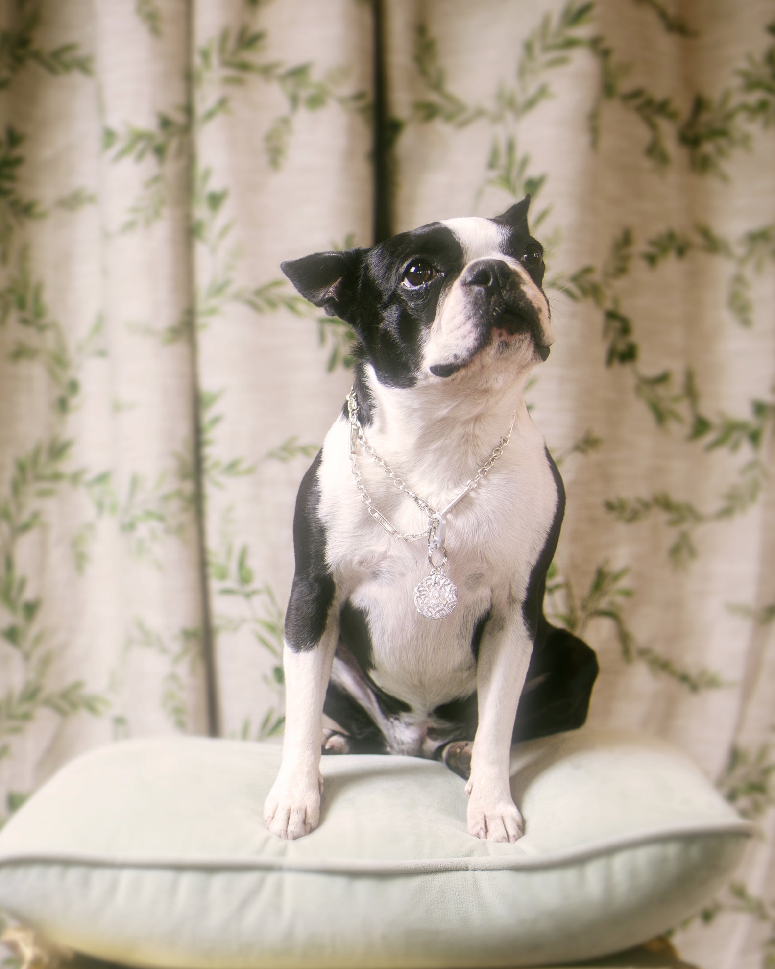 Bitch I'm Lost Pet Tag – Millie Savage - Main Image